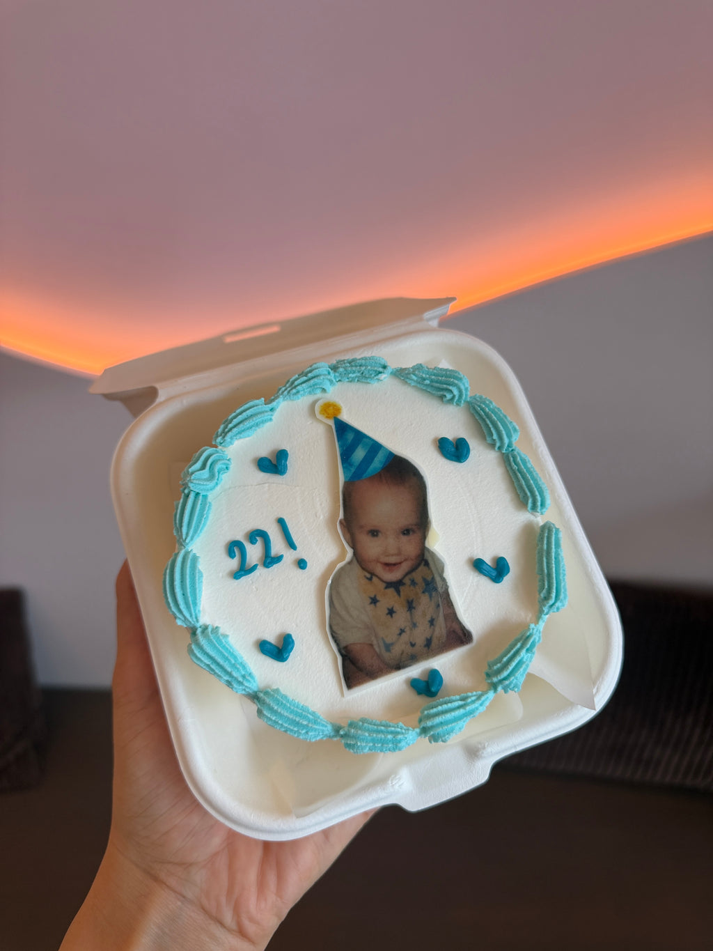 Bento Cake Photo