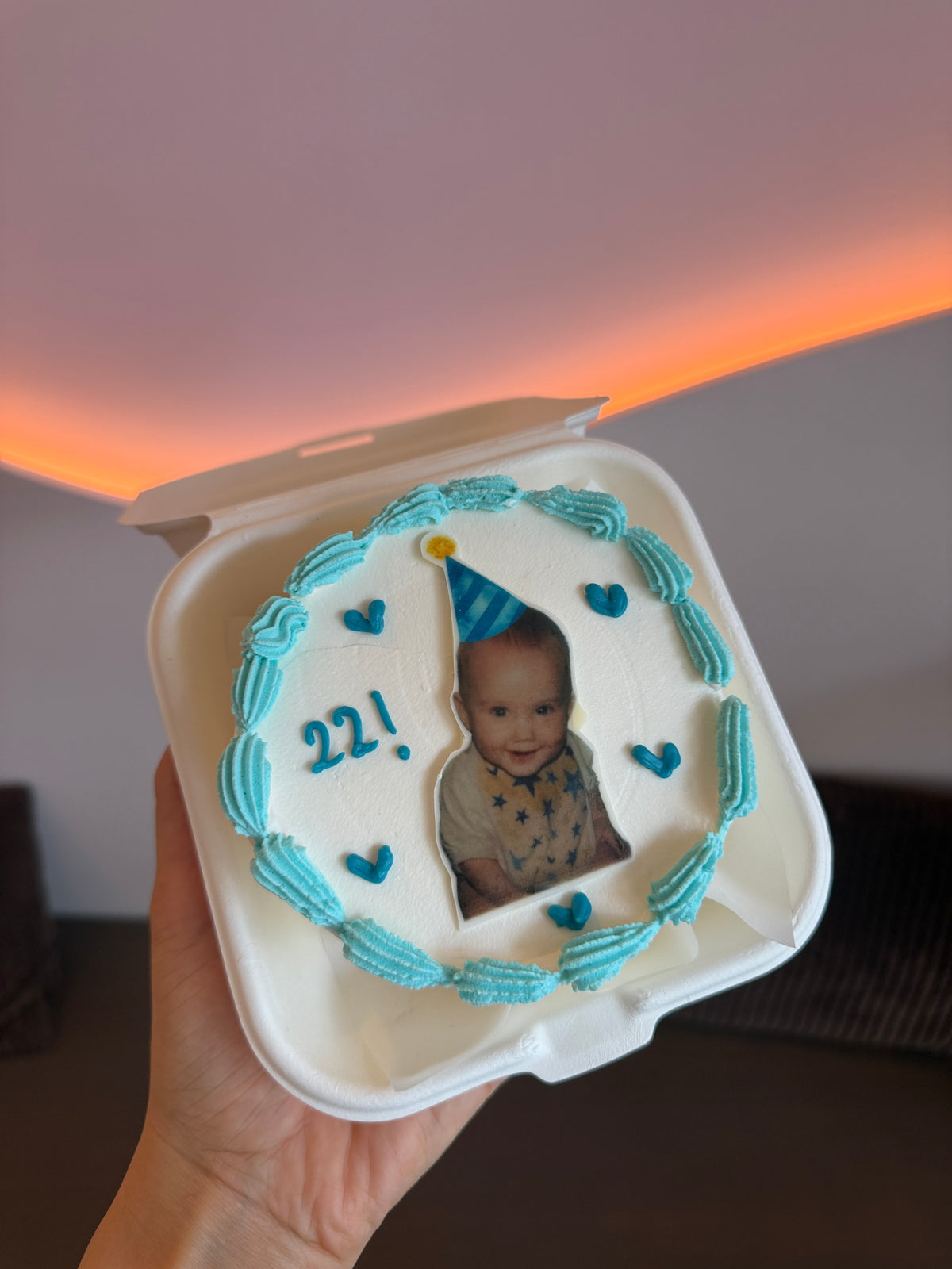 Bento Cake Photo