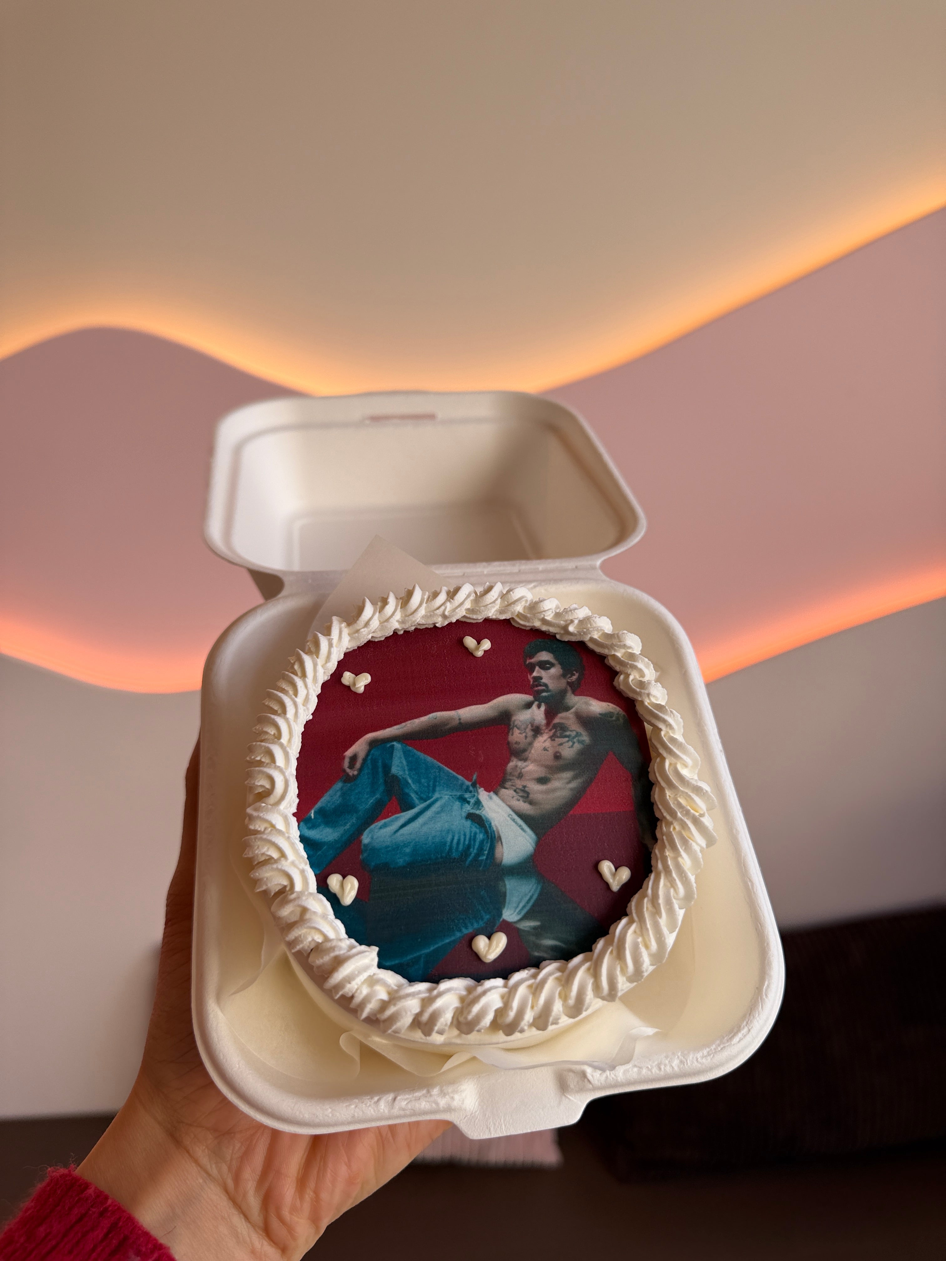 Bento Cake Photo